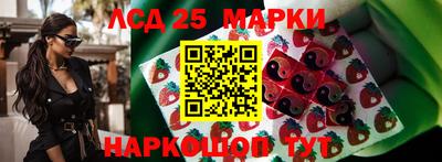 ПСИЛОЦИБИНОВЫЕ ГРИБЫ Краснодар