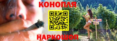 ПСИЛОЦИБИНОВЫЕ ГРИБЫ Краснодар