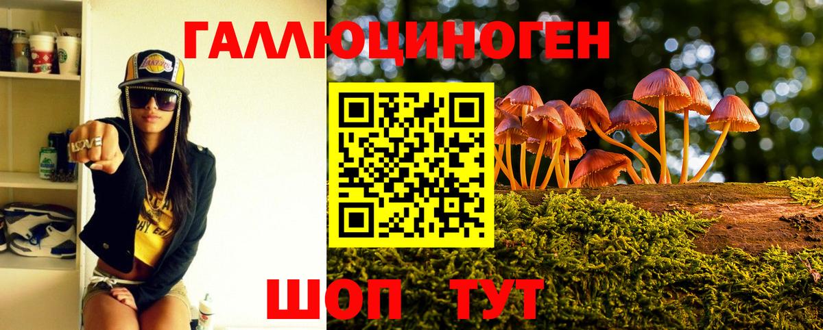 Псилоцибиновые грибы Cubensis  Галлюциногенные грибы Psilocybine cubensis  Вход с VPN  Ейск 